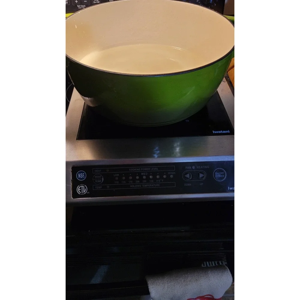 Iwatani IWA-1800 Tabletop Single-Burner Electric Stove Induction Cooktop Burner